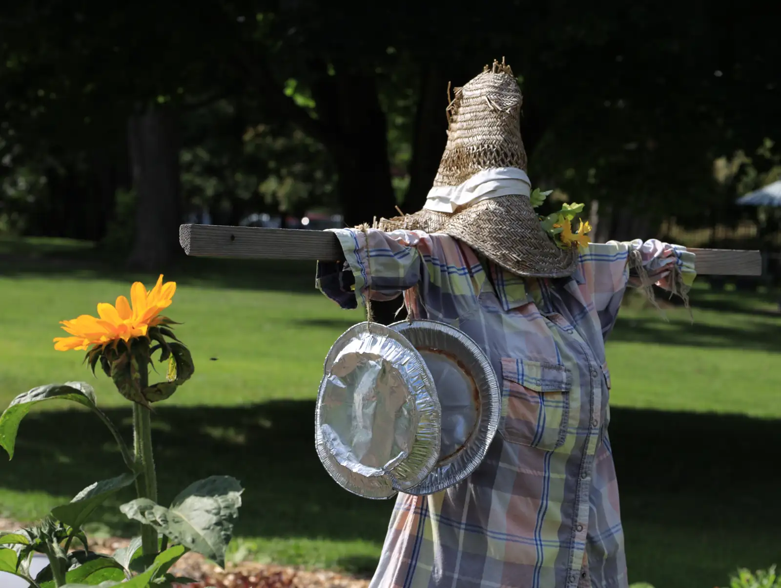 L'épouvantail du jardin parmi les tournesols