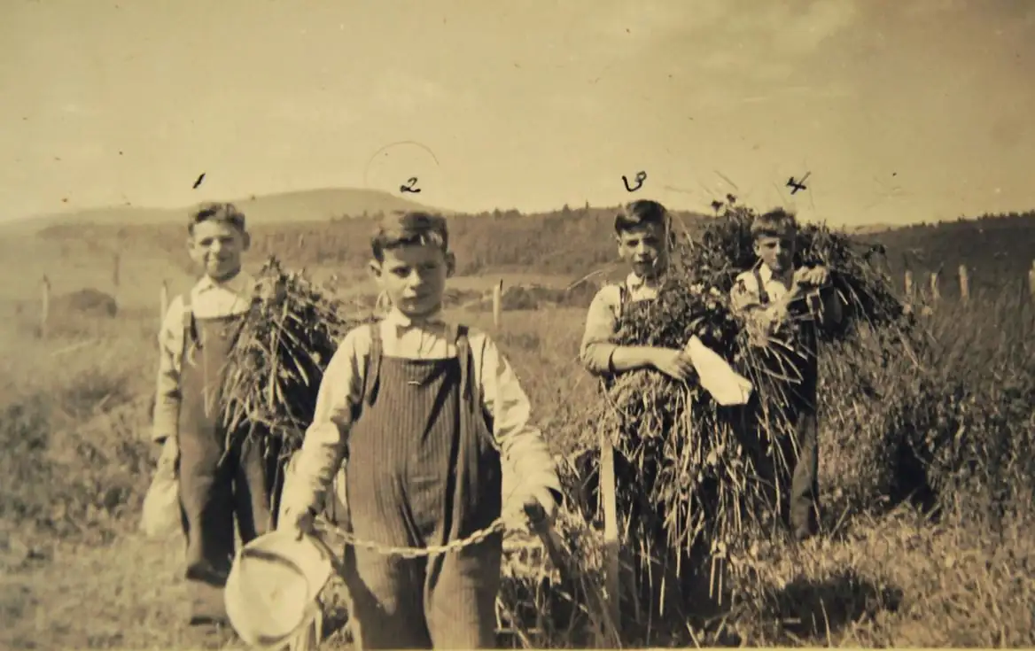 Jeunes garçons au travail des champs, photo d'époque