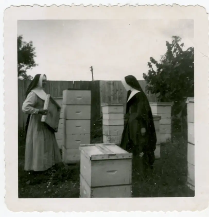 Deux sœurs près des ruches, photo d'époque