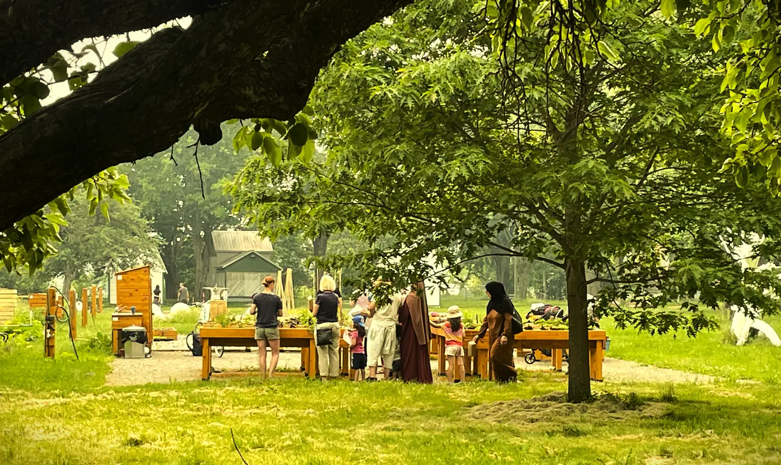 Grande tablée à l'ombre d'un grand arbre