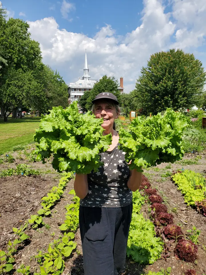 Nicole, bénévole, tient une laitue géante devant les rangs