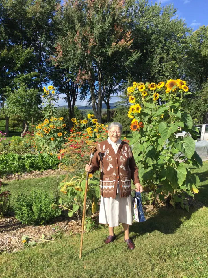 Sœur Marcella, souriante, parmi les tournesols