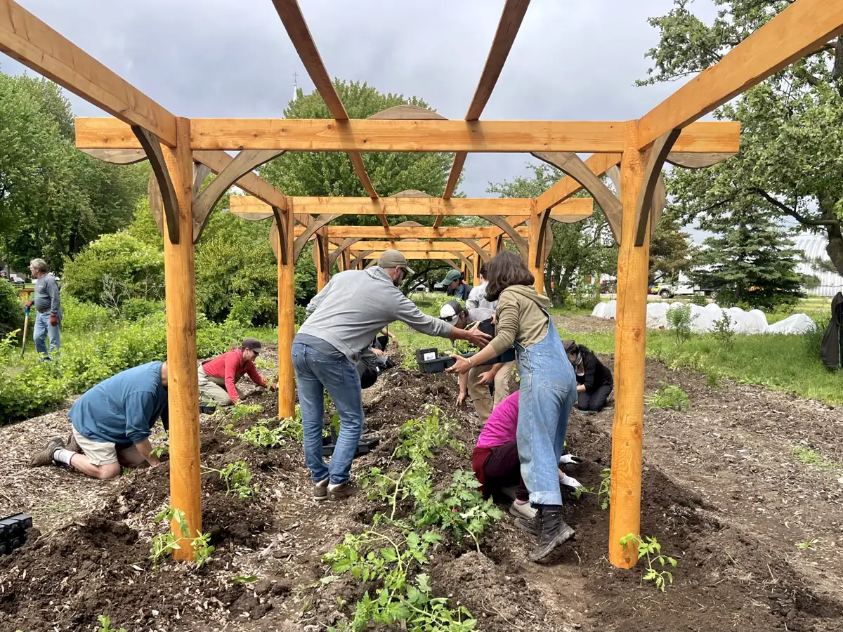 Plantation collective sous la pergola en bois