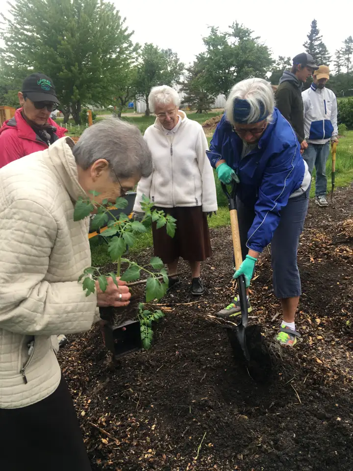 Plantation collective avec les Petites Franciscaines de Marie